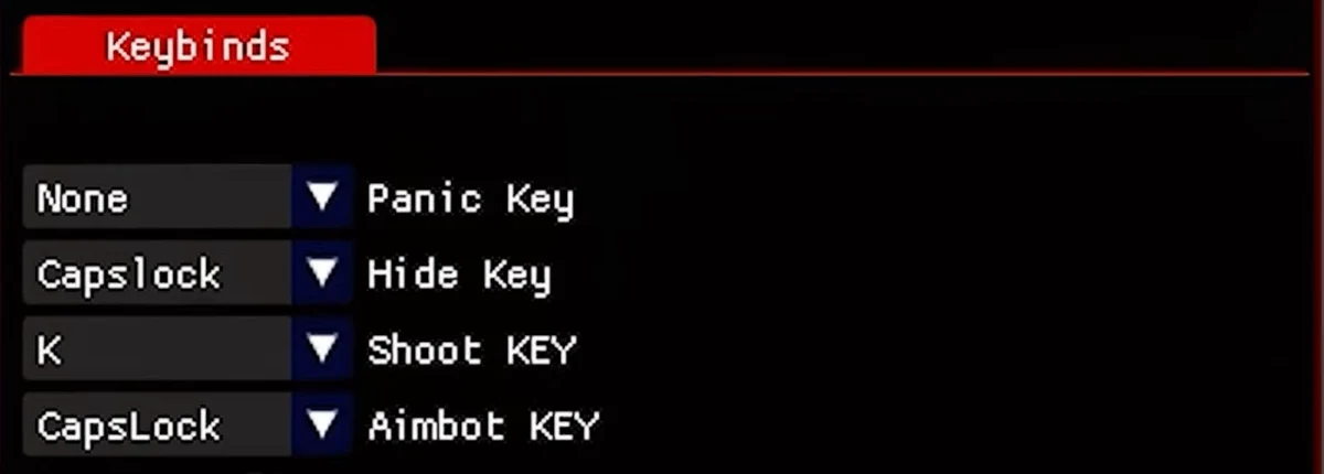Valorant AI Keybinds paneli: Hide Key, Capslock olarak ayarlı